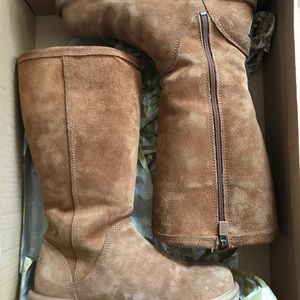 UGG  Australia 1890 W/ Chestnut: Size 6. Only worn twice